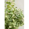 imageLings Moment Artificial Plants Amber Eucalyptus Leaves Branches6Pcs 175quot Tall Fake Greenery Filler wStems Realistic Texture Money Plant Leaves Decor for Wedding BouquetsTable Centerpieces RoomGrgrey Greengg