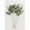 imageLings Moment Artificial Plants Amber Eucalyptus Leaves Branches6Pcs 175quot Tall Fake Greenery Filler wStems Realistic Texture Money Plant Leaves Decor for Wedding BouquetsTable Centerpieces RoomGrdark Greendg