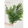 imageLings Moment Artificial Plants Italian Ruscus 4 Branches2953quot Tall Lush Greenery Bountiful Filler Fake Decor wStems Realistic Hanging Ferns for Wedding BouquetTable Centerpieces RoomOffice