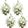 Lily White & Olive