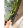 imageLings Moment 2 Wedding Artificial Sign Flower Swag Arch Floral Garlands Gold Champagne Christmas for Ceremony Party Reception Entrance Welcome Easel Door Backdrop Decor Wall Home Entryway OutdoorBlu Dusty Blue  Navy