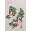 imageLings Moment 2 Wedding Artificial Sign Flower Swag Arch Floral Garlands Gold Champagne Christmas for Ceremony Party Reception Entrance Welcome Easel Door Backdrop Decor Wall Home Entryway OutdoorPk Dusty Rose  Cream