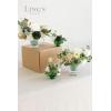 imageLings moment Wedding Centerpiece Flower with Vase for CeremonyReception Tabletop Mantel Archway Aisle Set of 4Black ampamp TerracottaSpring