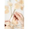 imageLings Moment Wedding Arch Flowers Kit Pack of 4 2pcs Boho Artificial Flowers Garland Arrangements 2pcs Hanging Drapes Ceremony Reception Arbor Backdrop Rust Sepia Floral Outdoor Rose DecorWhite  Beige