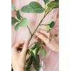 imageLings Moment Wedding Arch Flowers Kit Pack of 4 2pcs Boho Artificial Flowers Garland Arrangements 2pcs Hanging Drapes Ceremony Reception Arbor Backdrop Rust Sepia Floral Outdoor Rose DecorDusty Rose  Mauve