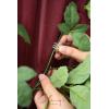 imageLings Moment Wedding Arch Flowers Kit Pack of 4 2pcs Boho Artificial Flowers Garland Arrangements 2pcs Hanging Drapes Ceremony Reception Arbor Backdrop Rust Sepia Floral Outdoor Rose DecorMarsala  Blush