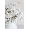 imageLings Moment Artificial Babys Breath 18pcs Gypsophila Greenery Spray White Flowers for Wedding BouquetCenterpiecesboutonnieresCorsage and Floral Arrangements