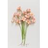 imageLings Moment Tulips Artificial Flowers 12pcs Fake Tulip Faux PU Foam Greenery Stems Plant for DIY Wedding Bouquets Centerpieces Arrangements Bridal Shower Party Home Decorations Peach Pearl