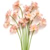 imageLings Moment Tulips Artificial Flowers 12pcs Fake Tulip Faux PU Foam Greenery Stems Plant for DIY Wedding Bouquets Centerpieces Arrangements Bridal Shower Party Home Decorations Peach Pearl