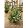 imageLings Moment 175quot Tall Standing Artificial Flowers Arrangements 4pcs Fall Wedding Aisle Runner Chair Decorations Blush ampamp Pink Centerpieces for Ceremony Reception Rose Floral Party OutdoorGrvariety Greenery