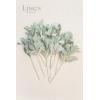 imageLings Moment Artificial Plants Lambs Ear Branches10Pcs 175quotTall Fake Greenery Filler Decor wStems Lifelike Flocked Frosted Texture Plant Decor for RoomOffice Wedding BouquetsTable Centerpieces