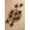 imageLings Moment Boutonniere for Men 10pcs Groomsmen Guest Boutonniere Artificial Flowers for Wedding DcorPromHomecomingetcDeep PurpleBlkblack  Gothic Burgundy