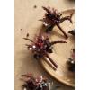 imageLings Moment Boutonniere for Men 10pcs Groomsmen Guest Boutonniere Artificial Flowers for Wedding DcorPromHomecomingetcDeep PurpleBlkblack  Gothic Burgundy