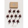 imageLings Moment Boutonniere for Men 10pcs Groomsmen Guest Boutonniere Artificial Flowers for Wedding DcorPromHomecomingetcDeep PurpleBlkblack  Gothic Burgundy