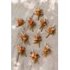 imageLings Moment Boutonniere for Men 10pcs Groomsmen Guest Boutonniere Artificial Flowers for Wedding DcorPromHomecomingetcDeep PurpleOrboho Dried  Burnt Orange