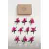 imageLings Moment Boutonniere for Men 10pcs Groomsmen Guest Boutonniere Artificial Flowers for Wedding DcorPromHomecomingetcDeep PurplePkhot Pink  Magenta Blush
