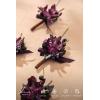 imageLings Moment Boutonniere for Men 10pcs Groomsmen Guest Boutonniere Artificial Flowers for Wedding DcorPromHomecomingetcDeep PurplePrpldeep Purple