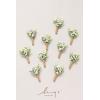 imageLings Moment Boutonniere for Men 10pcs Groomsmen Guest Boutonniere Artificial Flowers for Wedding DcorPromHomecomingetcDeep PurpleWhtbaby Breath  White