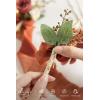 imageLings Moment Boutonniere for Men 2pcs Groom Groomsmen Guest Boutonniere Artificial Flowers for WeddingPromHomecoming etcDeep PurpleOrfall Orange  Terracotta