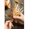 imageLings Moment Boutonniere for Men 2pcs Groom Groomsmen Guest Boutonniere Artificial Flowers for WeddingPromHomecoming etcDeep PurpleOrrust Boho  Terracotta