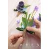 imageLings Moment Boutonniere for Men 2pcs Groom Groomsmen Guest Boutonniere Artificial Flowers for WeddingPromHomecoming etcDeep PurplePrplpurple