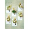 imageLings Moment Boutonniere for Men 6pcs Groom Groomsmen Boutonniere Artificial Flowers for Wedding DecorPromHomecoming etcDeep PurpleGrnemerald Green  Beige