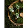 imageLings Moment Boutonniere for Men 6pcs Groom Groomsmen Boutonniere Artificial Flowers for Wedding DecorPromHomecoming etcDeep PurpleGrngreen  Beige