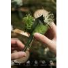 imageLings Moment Boutonniere for Men 6pcs Groom Groomsmen Boutonniere Artificial Flowers for Wedding DecorPromHomecoming etcDeep PurpleGrngreen  Beige