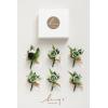 imageLings Moment Boutonniere for Men 6pcs Groom Groomsmen Boutonniere Artificial Flowers for Wedding DecorPromHomecoming etcDeep PurpleGrngreen  Beige