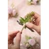 imageLings Moment Boutonniere for Men 6pcs Groom Groomsmen Boutonniere Artificial Flowers for Wedding DecorPromHomecoming etcDeep PurplePkblush  Pink