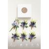 imageLings Moment Boutonniere for Men 6pcs Groom Groomsmen Boutonniere Artificial Flowers for Wedding DecorPromHomecoming etcDeep PurplePrplpurple