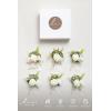 imageLings Moment Boutonniere for Men 6pcs Groom Groomsmen Boutonniere Artificial Flowers for Wedding DecorPromHomecoming etcDeep PurpleWhtwhite Baby Breath  Ivory