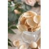 imageLings Moment Rose Petals Silk Flower Petals for WeddingAisleFlower Girl BasketsTable Centerpiece DcoretcDeep Purple 200pcsGldchampagne  Rose Gold