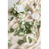 imageLings Moment Rose Petals Silk Flower Petals for WeddingAisleFlower Girl BasketsTable Centerpiece DcoretcDeep Purple 200pcsGrnsage Green