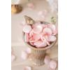 imageLings Moment Rose Petals Silk Flower Petals for WeddingAisleFlower Girl BasketsTable Centerpiece DcoretcDeep Purple 200pcsPkblush  Pink