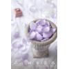 imageLings Moment Rose Petals Silk Flower Petals for WeddingAisleFlower Girl BasketsTable Centerpiece DcoretcDeep Purple 200pcsPrplpurple