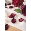 imageLings Moment Rose Petals Silk Flower Petals for WeddingAisleFlower Girl BasketsTable Centerpiece DcoretcDeep Purple 200pcsRedred  Burgundy