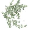 imageLings Moment Artificial Rose Green Leaf Garland Greenery Vine for DIY Wedding Head Table Welcome Sign Table Centerpieces Candle Ring Fireplace Plant Leaves Garland Decor
