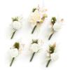 Chrs-white Pampas & Chrismas