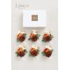 imageLings Moment 6pcs Wedding Wrist Corsage Artificial Flowers GirlMother Homecoming Prom Corsages Wristlet Dcor etc Glowing Blush CreamOrburnt Orange  Terracotta