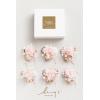 imageLings Moment 6pcs Wedding Wrist Corsage Artificial Flowers GirlMother Homecoming Prom Corsages Wristlet Dcor etc Glowing Blush CreamPkglowing Blush  Cream