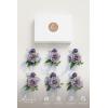imageLings Moment 6pcs Wedding Wrist Corsage Artificial Flowers GirlMother Homecoming Prom Corsages Wristlet Dcor etc Glowing Blush CreamPrplpurple