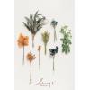 imageLings Moment Artificial Greenery Stems Box Set 30pcs with 8 Kinds of Faux Greenery Picks for DIY Bridal Bouquets Wedding Floral Arrangement Table Centerpieces Purple ampamp Dark GreenOrteal  Burnt Orange