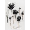 imageLings Moment Artificial Greenery Stems Box Set 30pcs with 8 Kinds of Faux Greenery Picks for DIY Bridal Bouquets Wedding Floral Arrangement Table Centerpieces Purple ampamp Dark GreenBlkblack