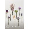 imageLings Moment Artificial Greenery Stems Box Set 30pcs with 8 Kinds of Faux Greenery Picks for DIY Bridal Bouquets Wedding Floral Arrangement Table Centerpieces Purple ampamp Dark GreenPrpllavender  Golden
