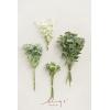 imageLings Moment Artificial Greenery Stems Box Set 30pcs with 8 Kinds of Faux Greenery Picks for DIY Bridal Bouquets Wedding Floral Arrangement Table Centerpieces Purple ampamp Dark GreenGrntender Green  Sage Green