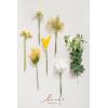 imageLings Moment Artificial Greenery Stems Box Set 30pcs with 8 Kinds of Faux Greenery Picks for DIY Bridal Bouquets Wedding Floral Arrangement Table Centerpieces Purple ampamp Dark GreenYlwlemonade Yellow