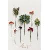 imageLings Moment Artificial Greenery Stems Box Set 30pcs with 8 Kinds of Faux Greenery Picks for DIY Bridal Bouquets Wedding Floral Arrangement Table Centerpieces Purple ampamp Dark GreenRedbordeaux Red