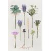 imageLings Moment Artificial Greenery Stems Box Set 30pcs with 8 Kinds of Faux Greenery Picks for DIY Bridal Bouquets Wedding Floral Arrangement Table Centerpieces Purple ampamp Dark GreenPrpllavender  Plum