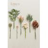 imageLings Moment Artificial Greenery Stems Box Set 30pcs with 8 Kinds of Faux Greenery Picks for DIY Bridal Bouquets Wedding Floral Arrangement Table Centerpieces Purple ampamp Dark GreenOramber  Green